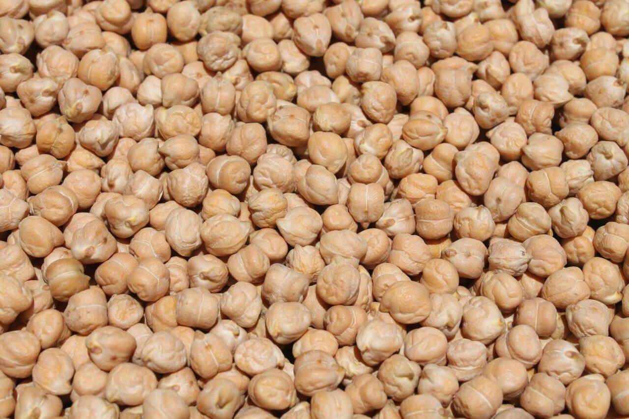 Kabuli Chickpeas – showa Type